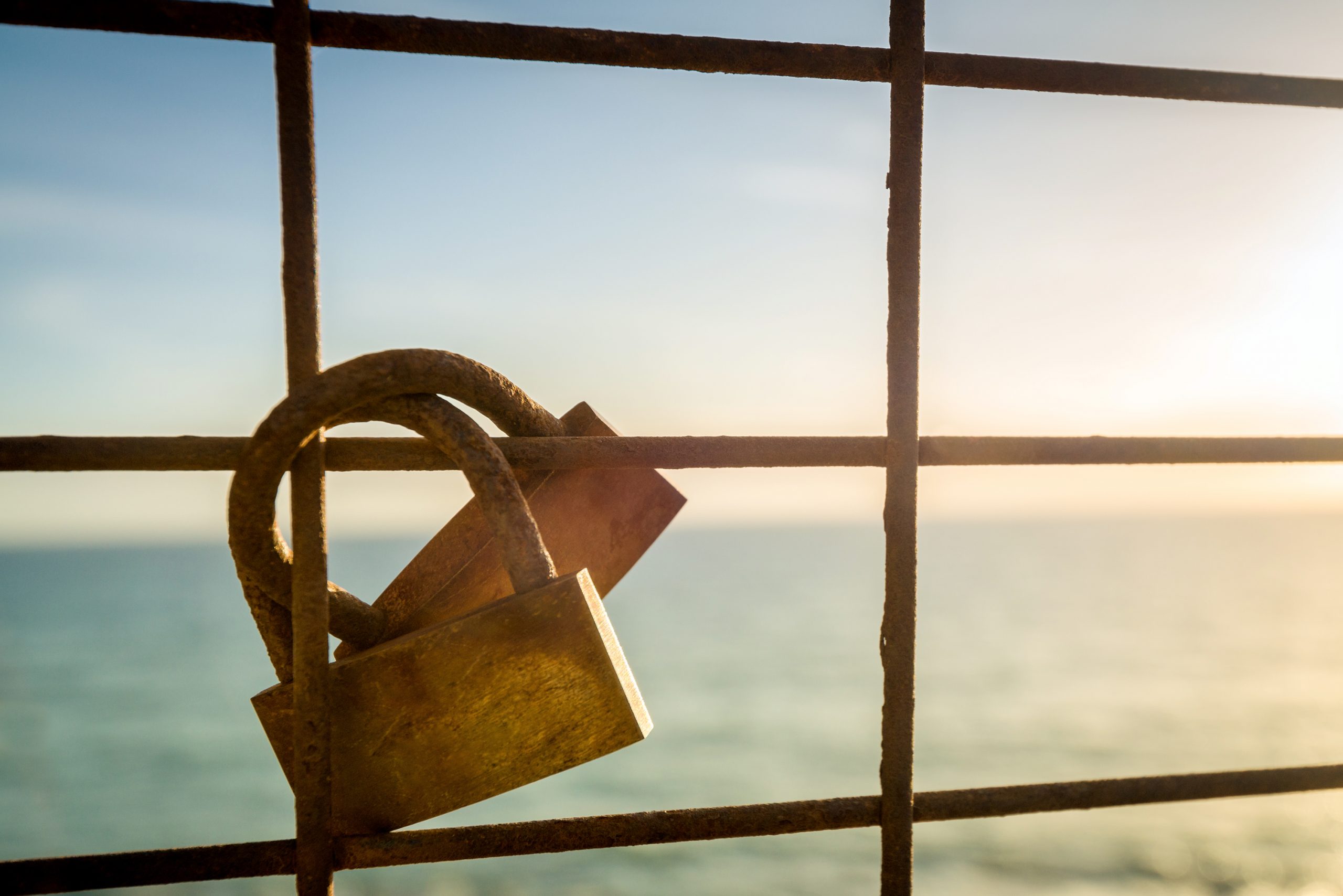 Love locks hanging on the fence