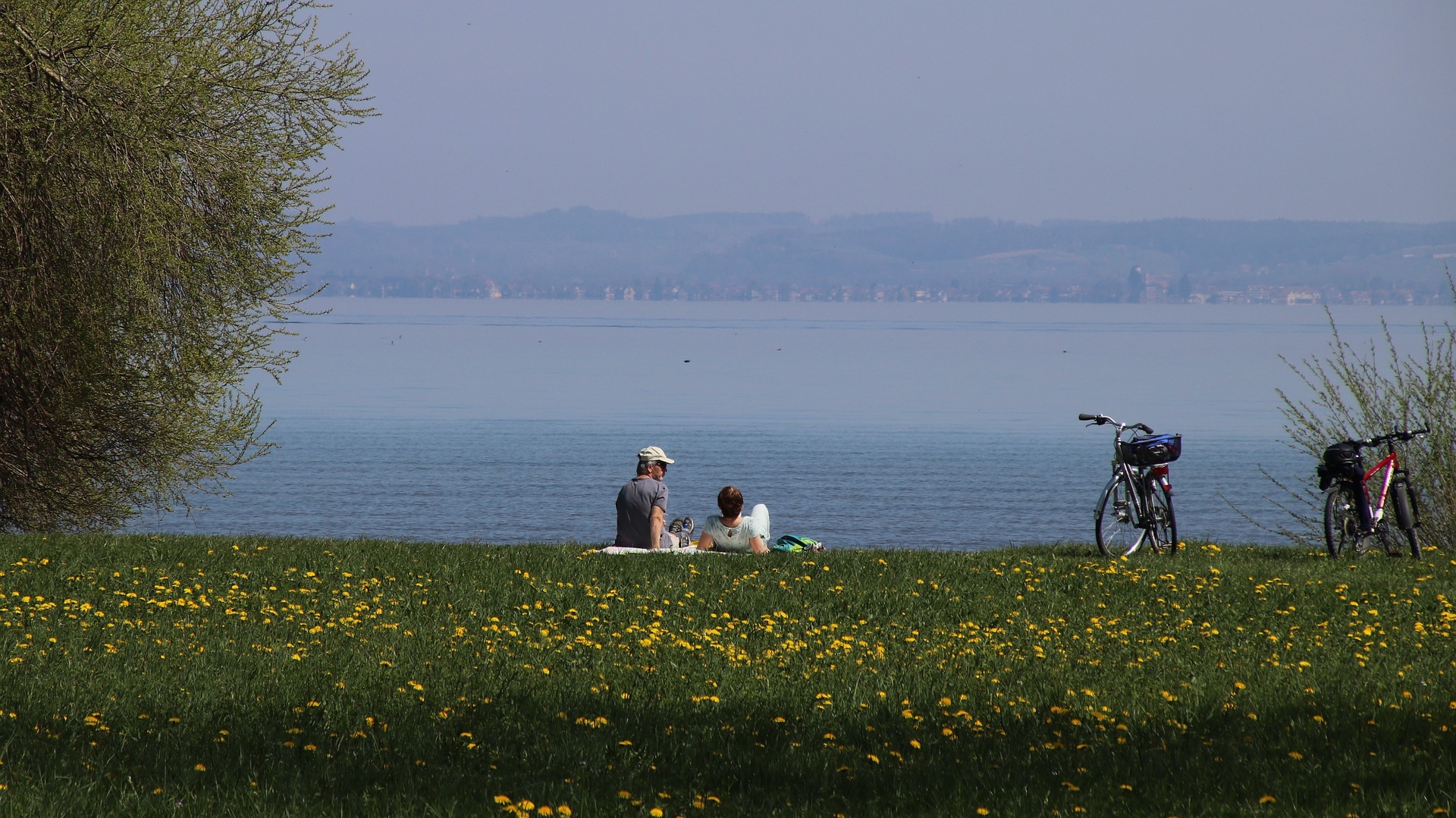 spring-4149909_1920